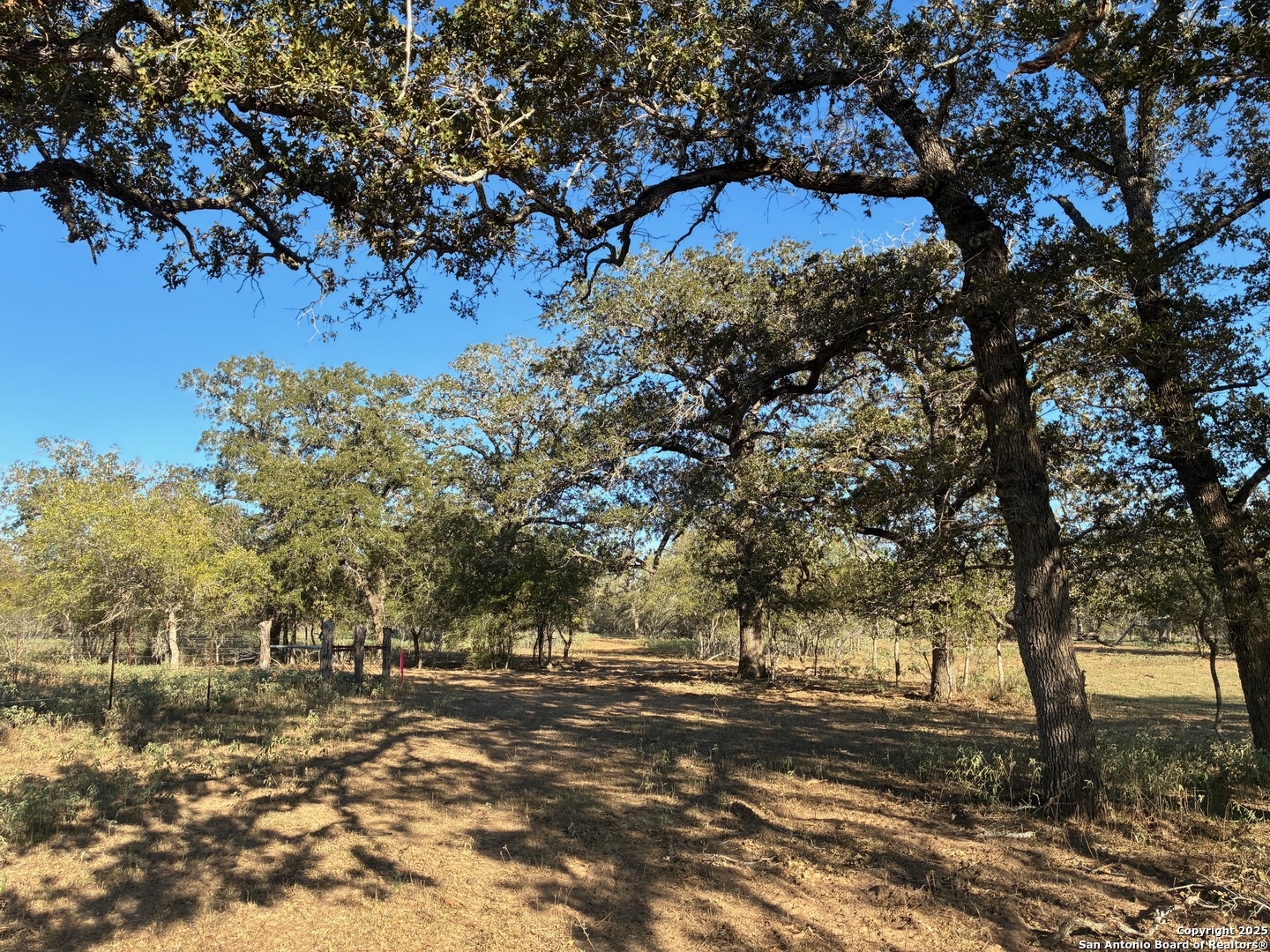 property viewer photo 3