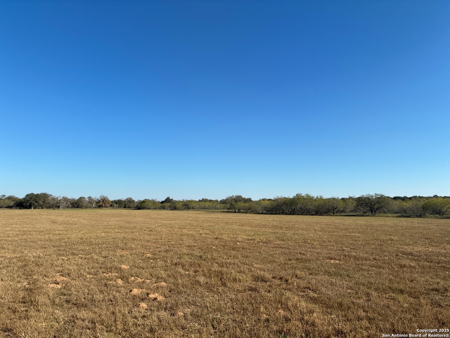 property viewer photo 4