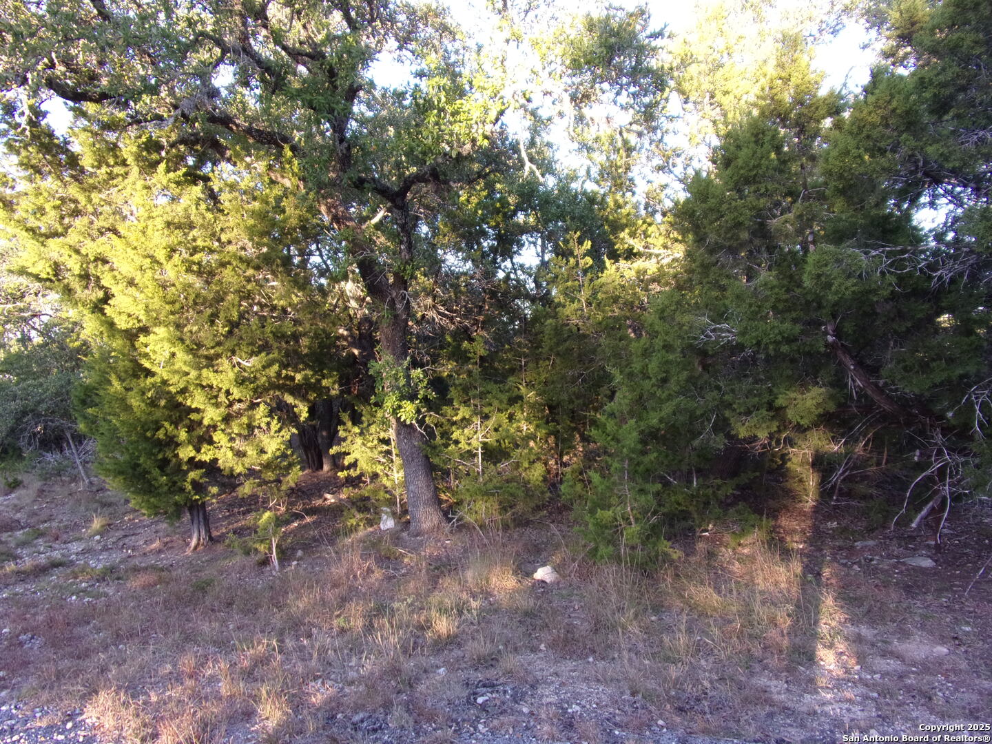 main property photo 10
