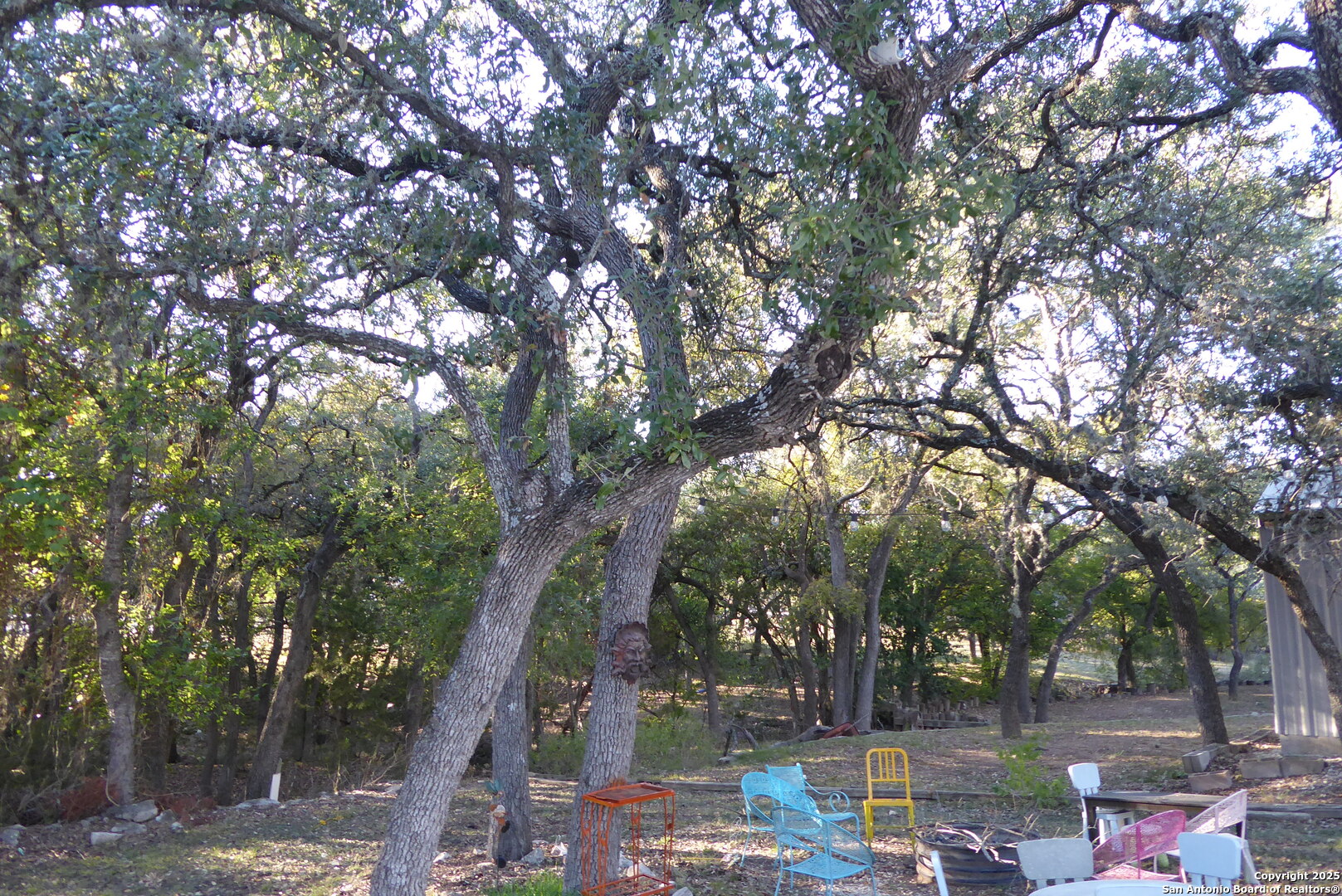 main property photo 38
