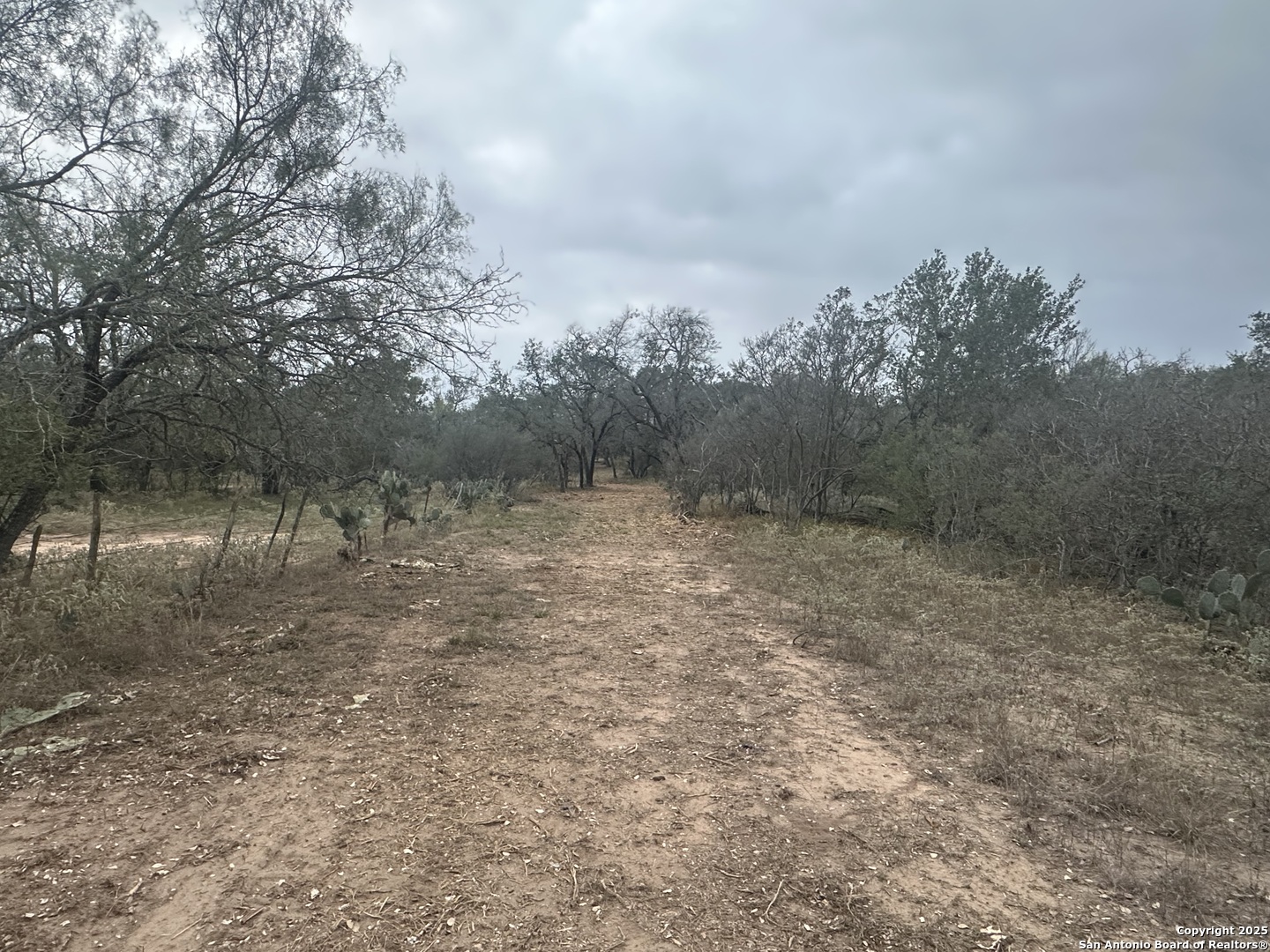 main property photo 8