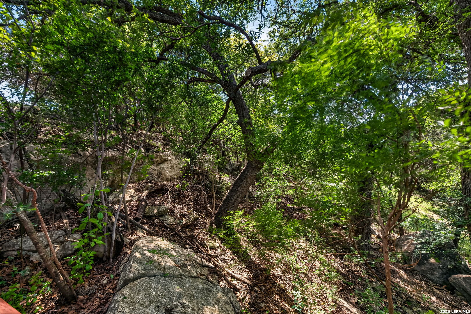 main property photo 24