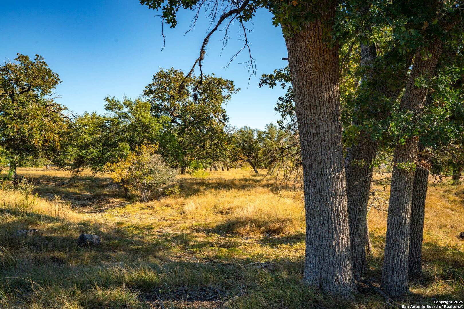 main property photo 24