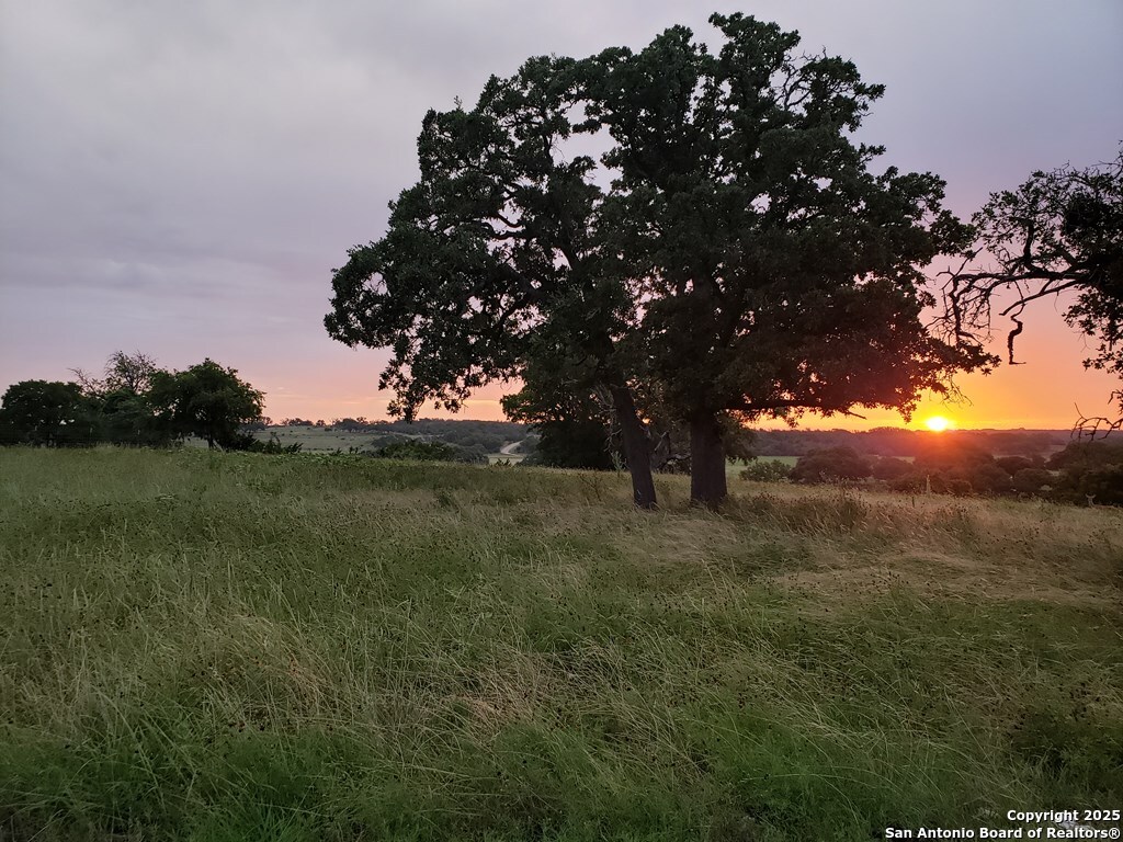 main property photo 54