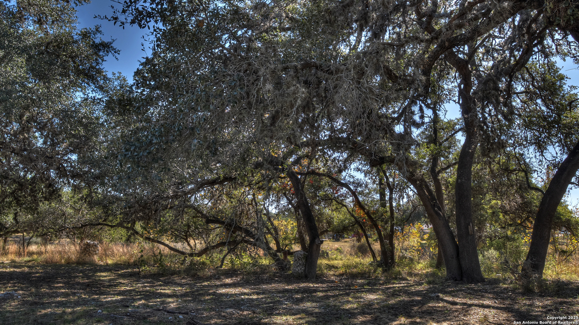 main property photo 10