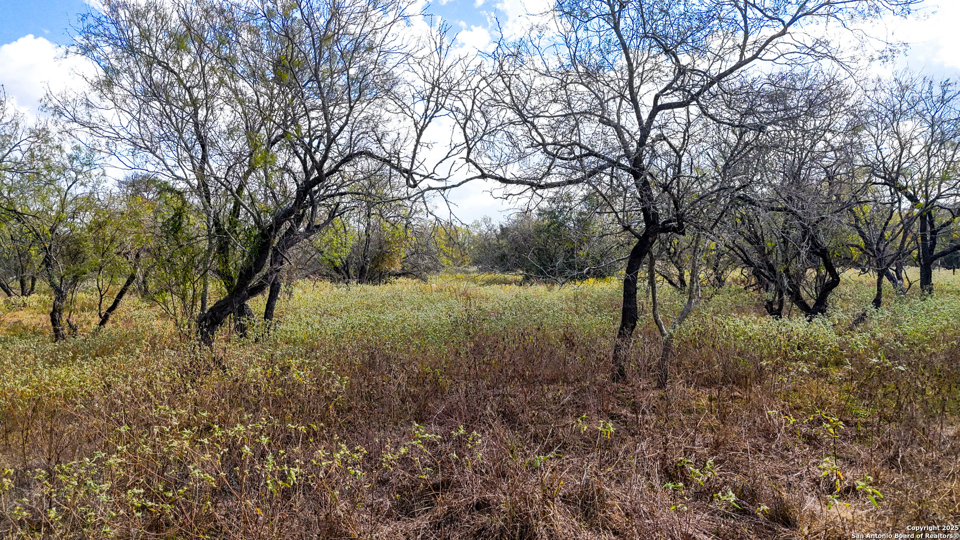 main property photo 37