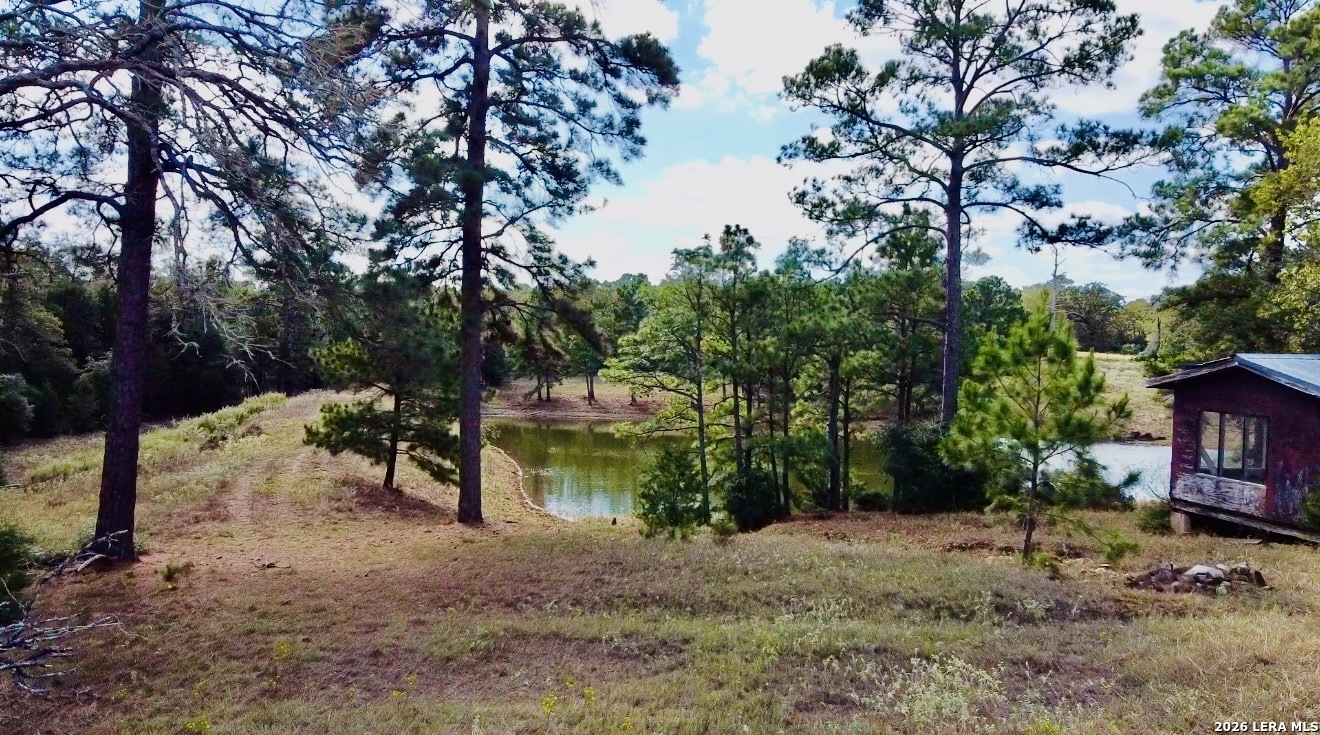main property photo 38