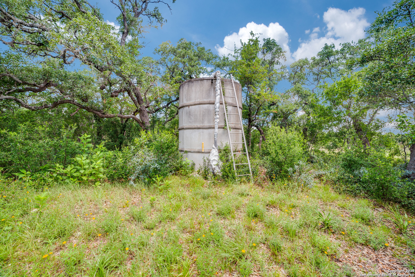 main property photo 33