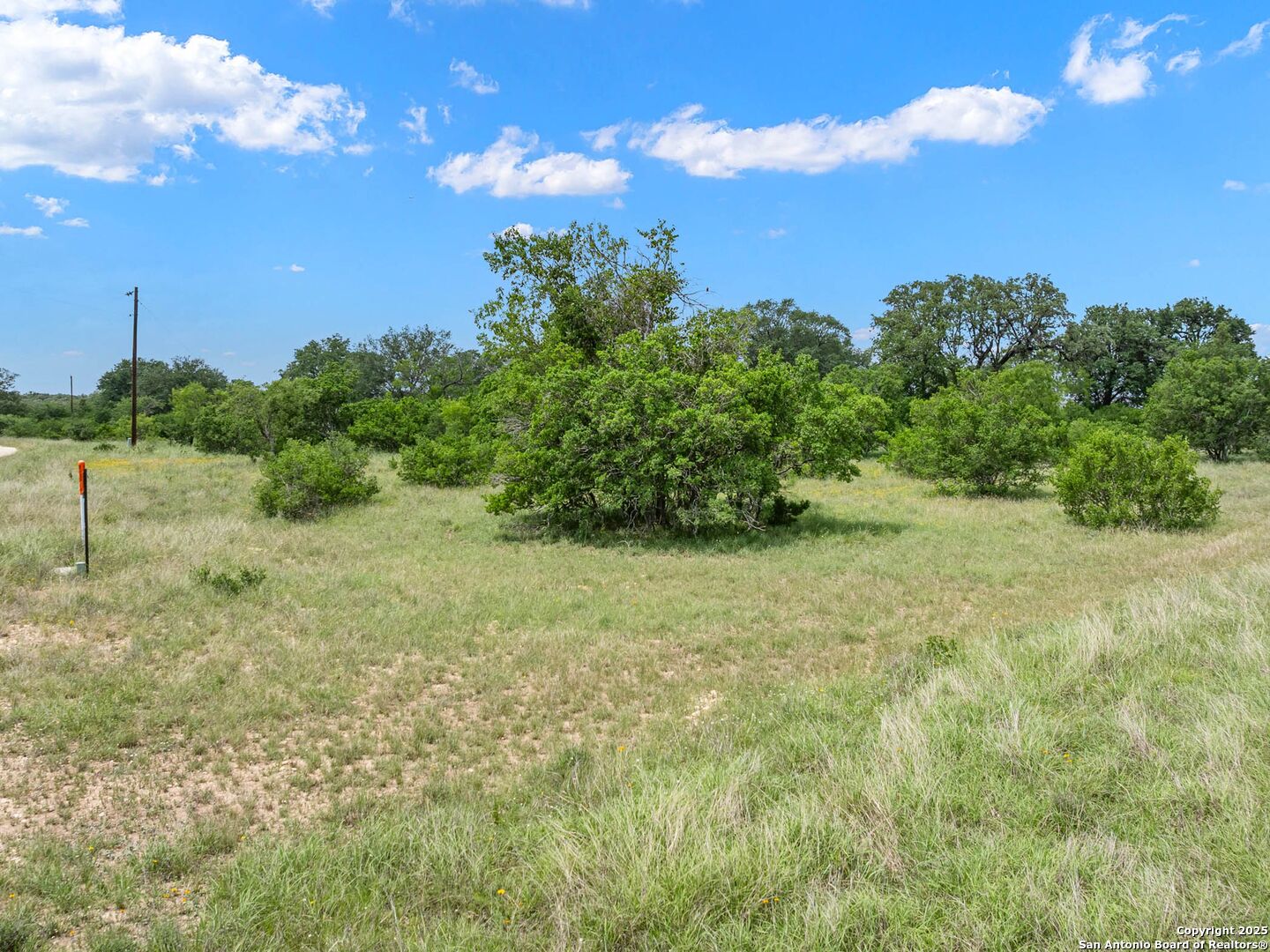 main property photo 54