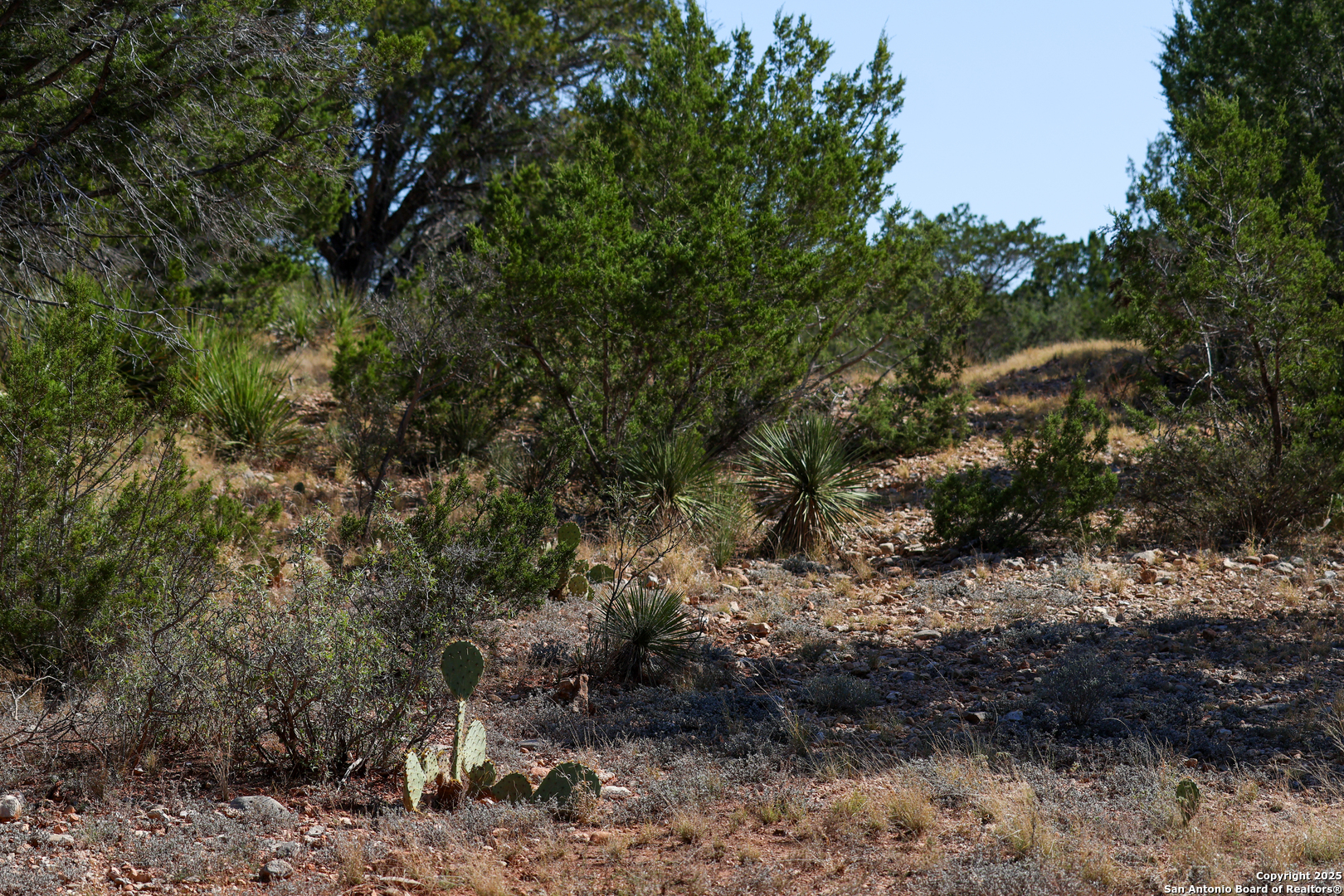 main property photo 19