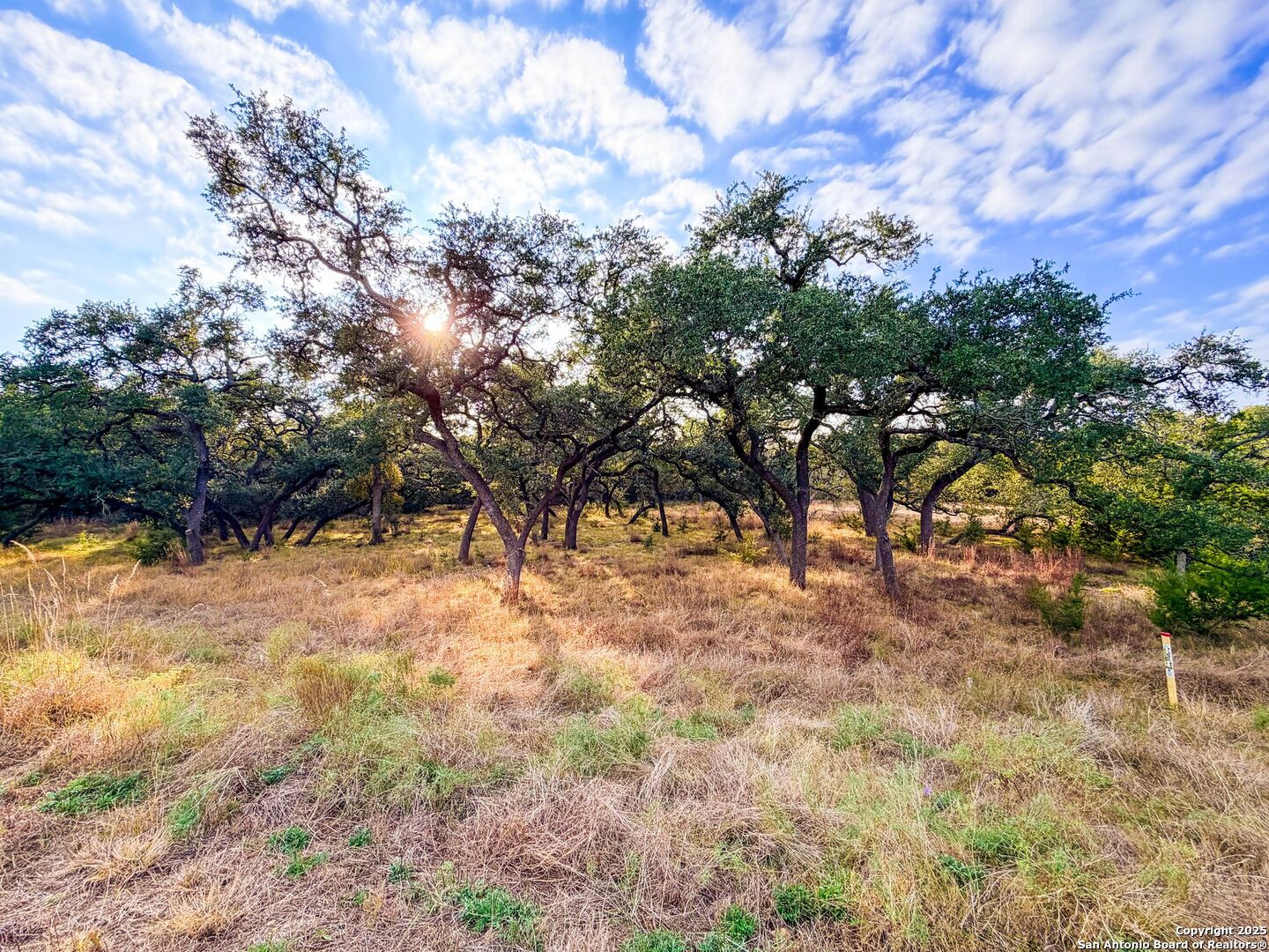 property viewer photo 21