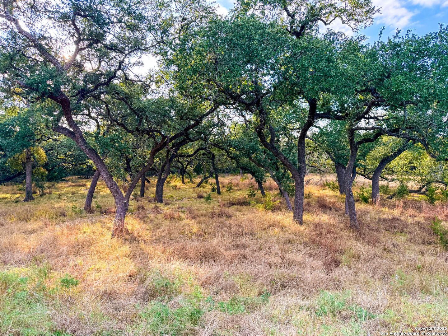 property viewer photo 22
