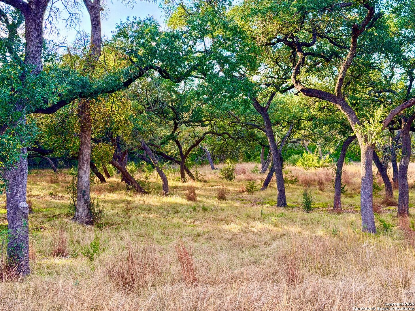 property viewer photo 24