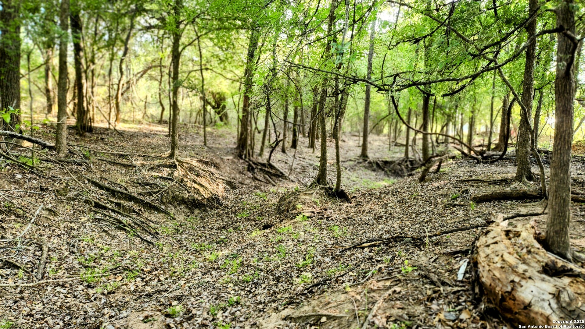 main property photo 9