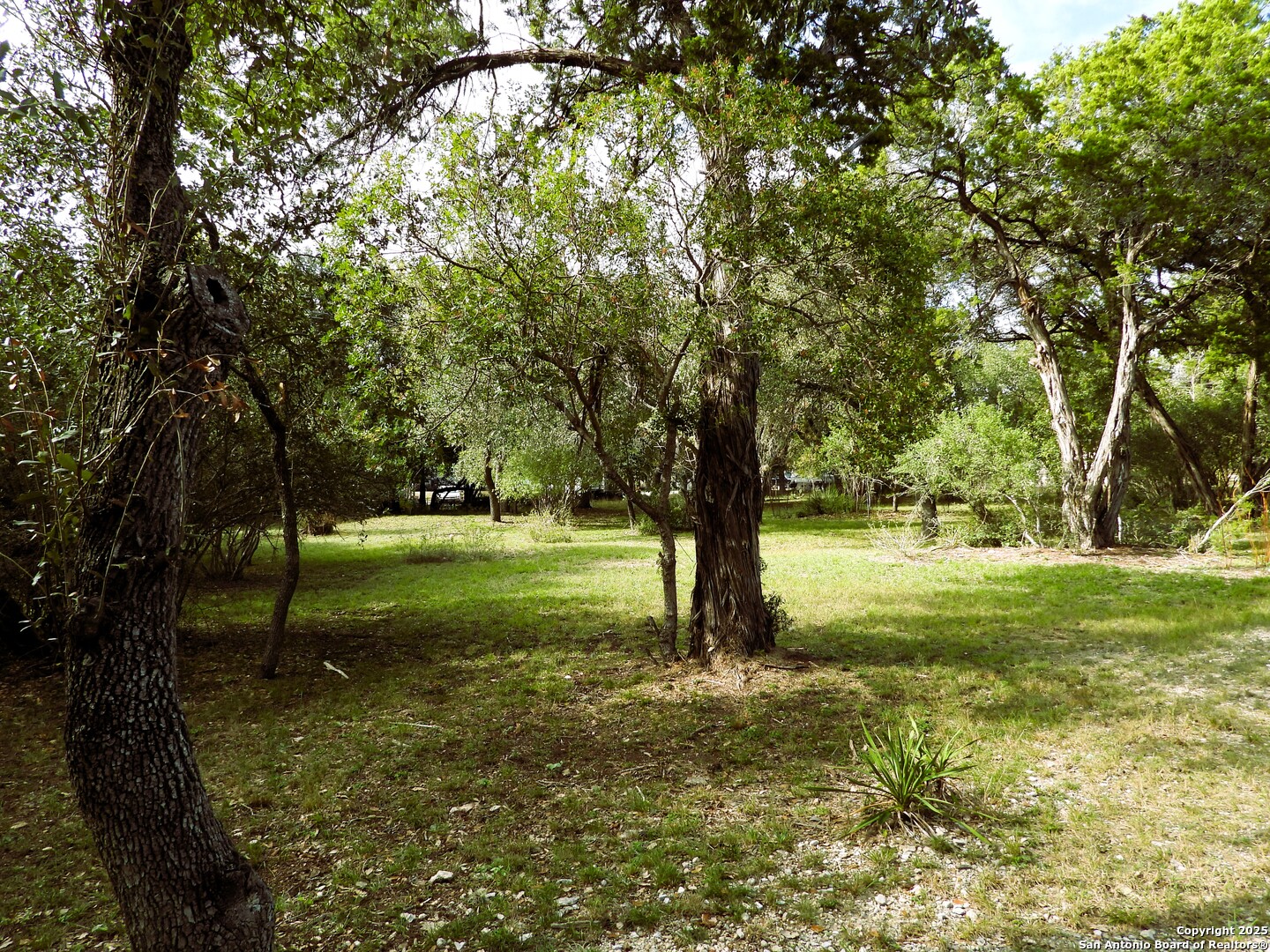 main property photo 67