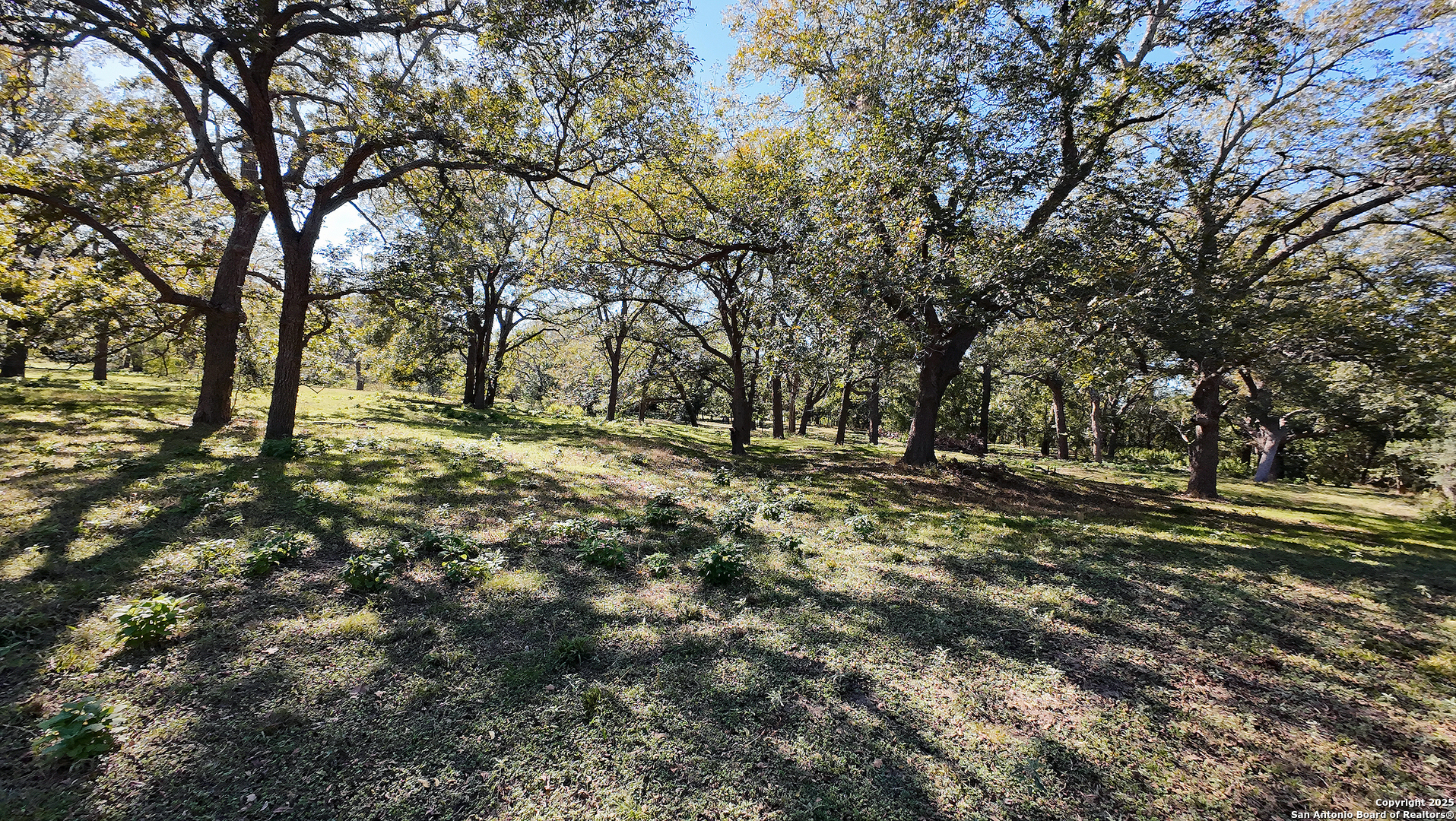main property photo 13