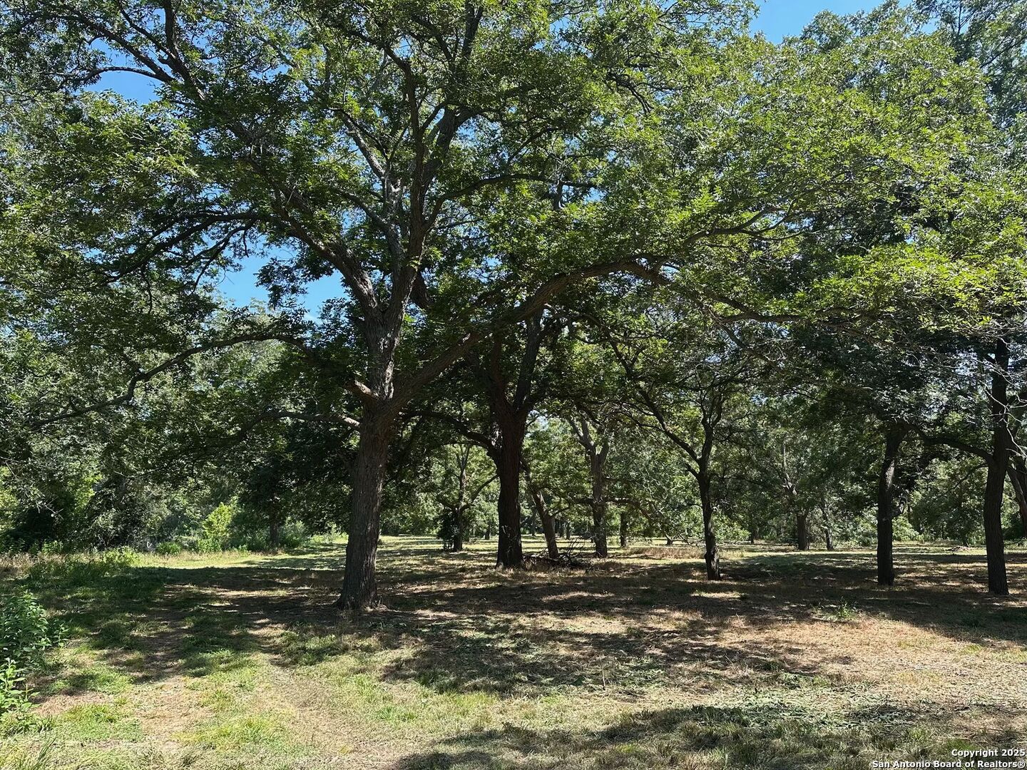 main property photo 14