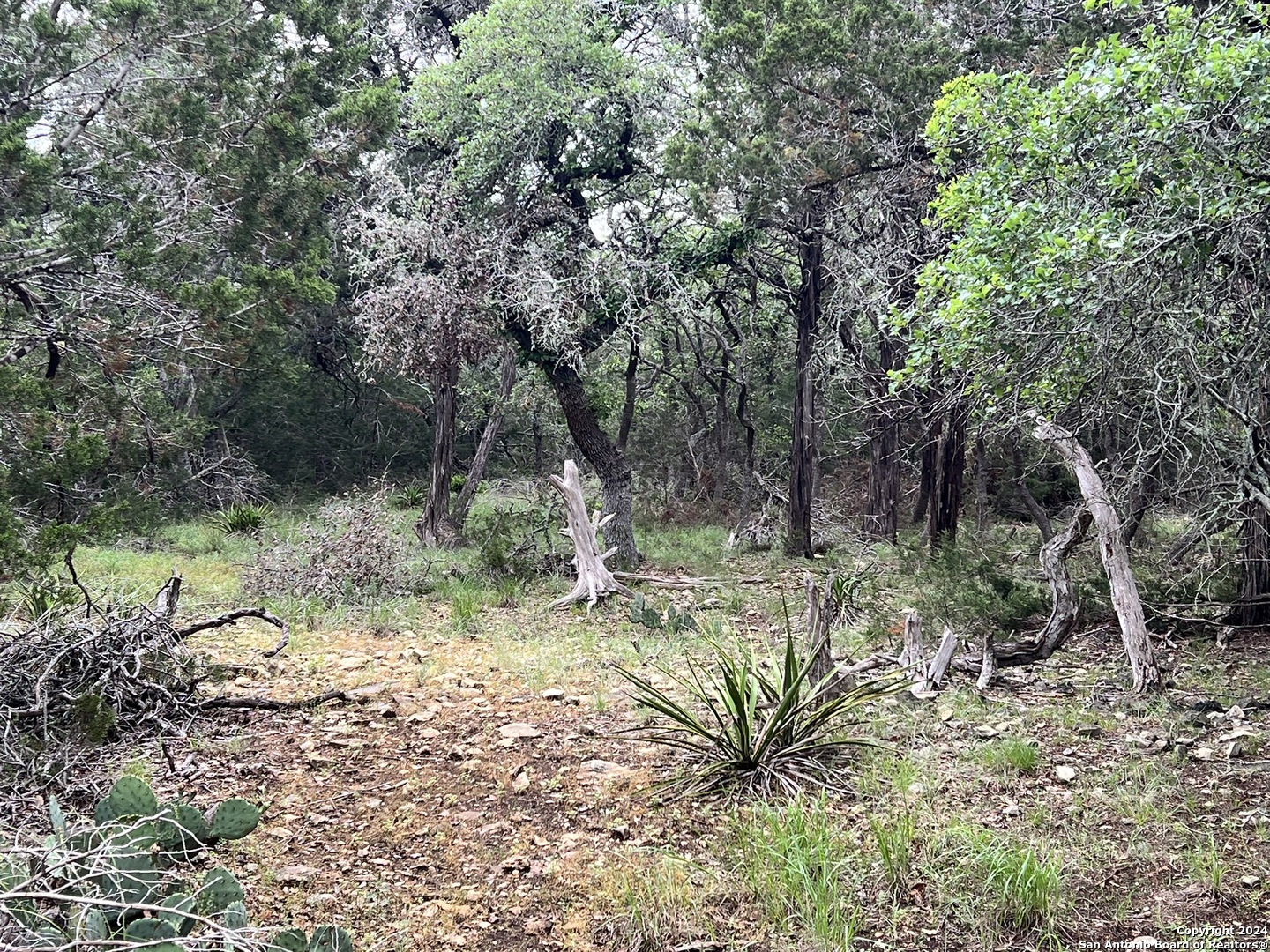 main property photo 10