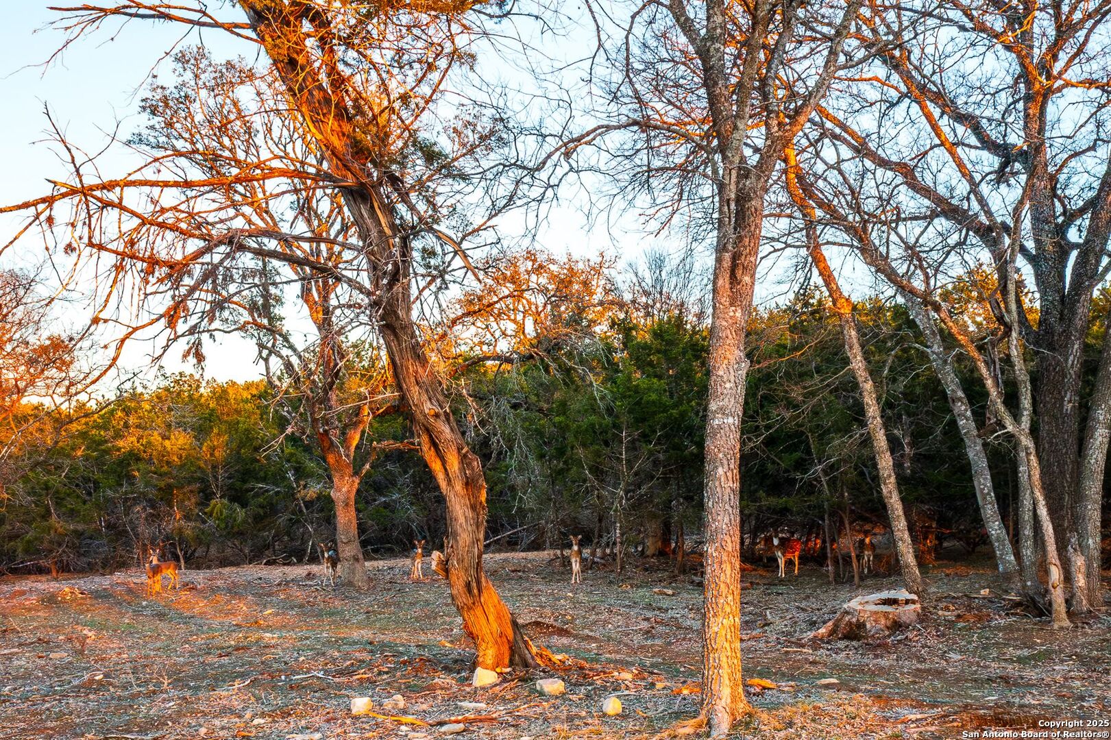 main property photo 14