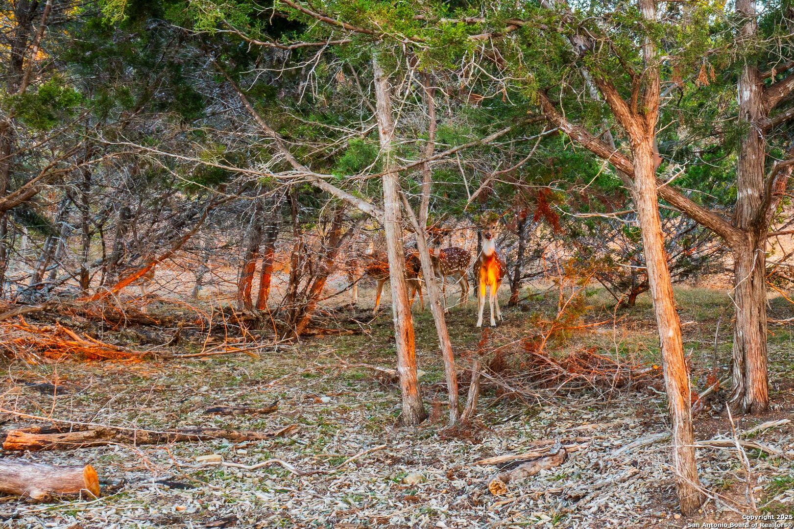 main property photo 5