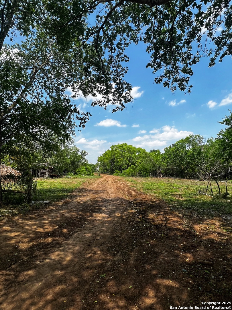 main property photo 6