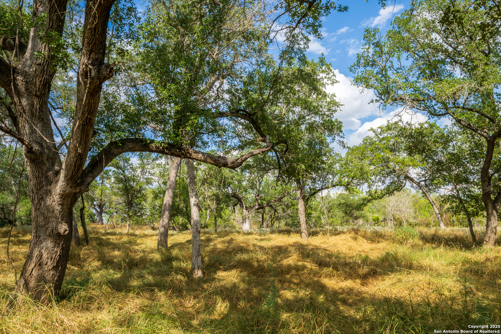 main property photo 45