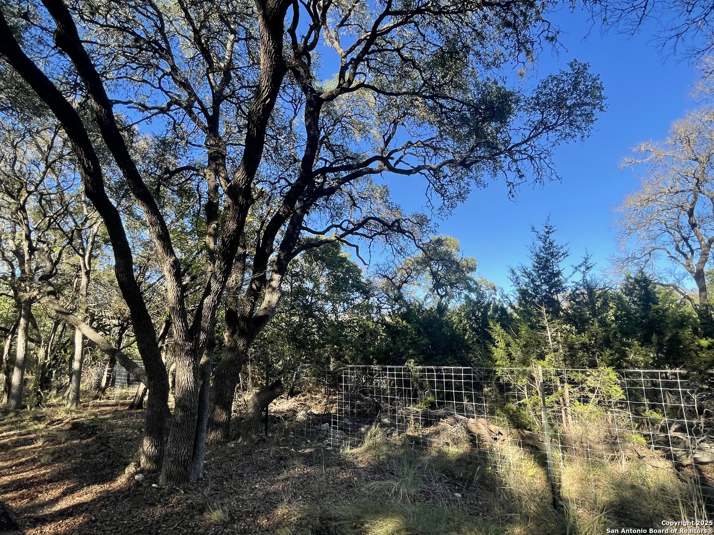 main property photo 15