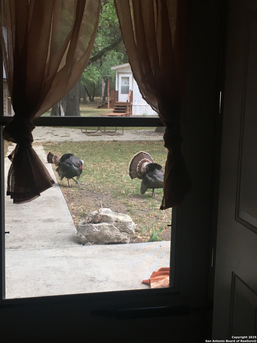 main property photo 51