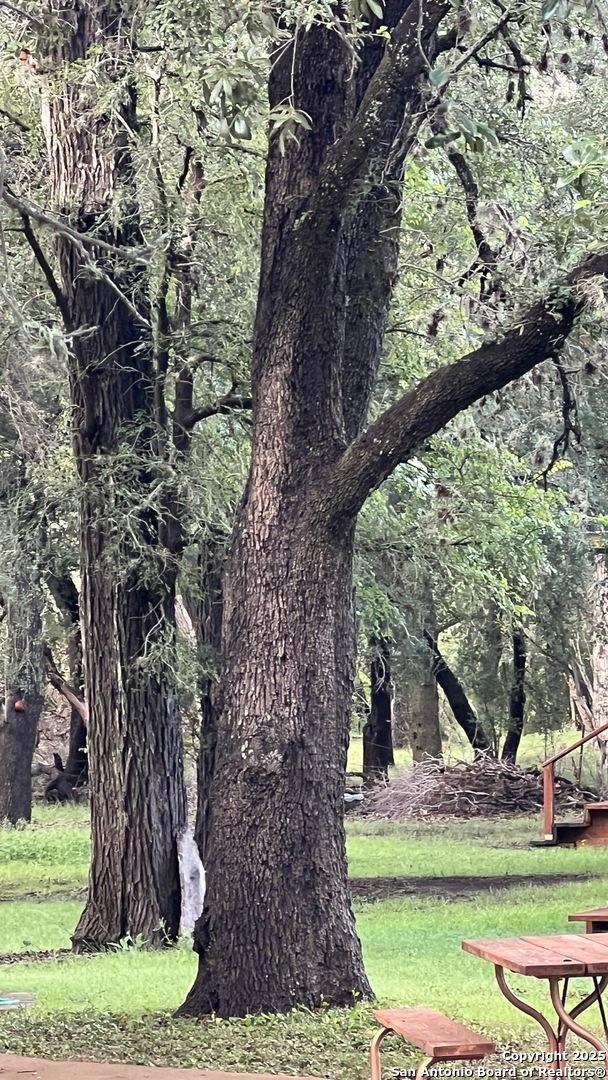 main property photo 89