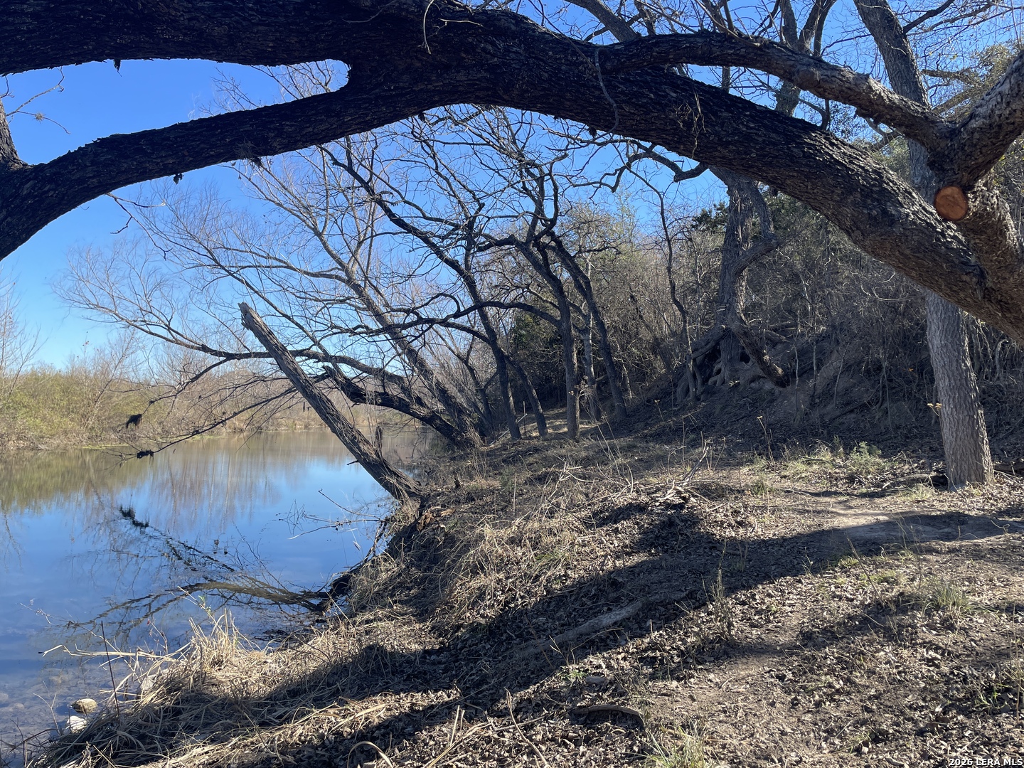 main property photo 97
