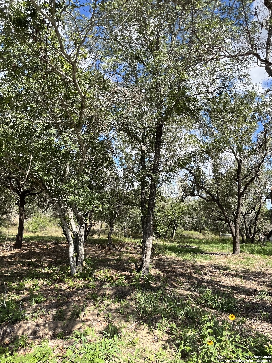 main property photo 14