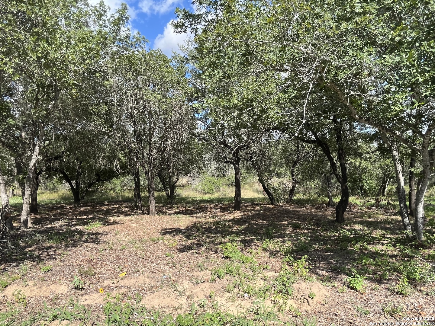 main property photo 15