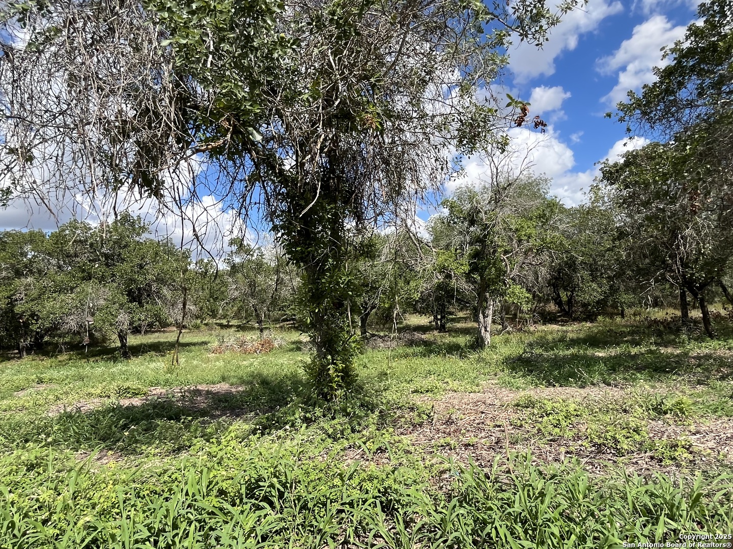 main property photo 18
