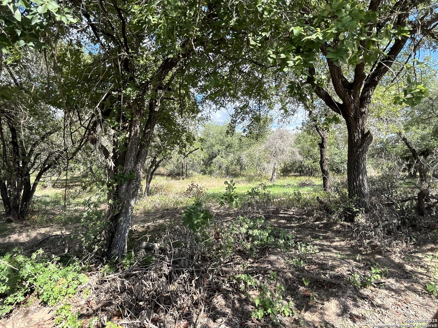 main property photo 14