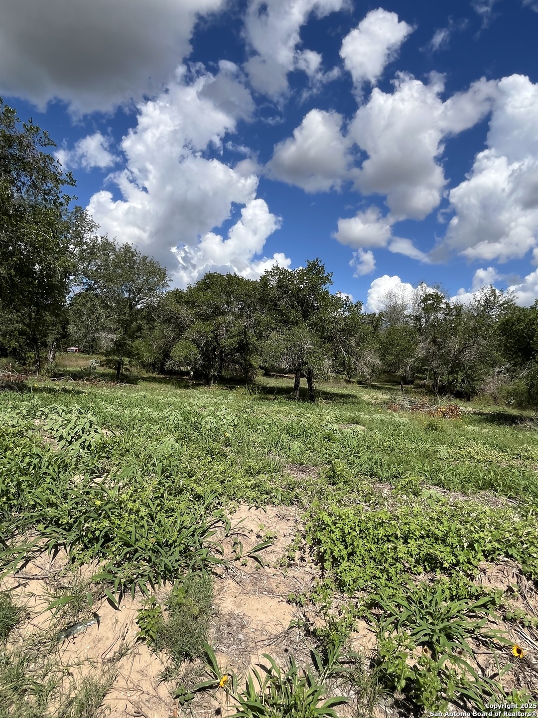 main property photo 17
