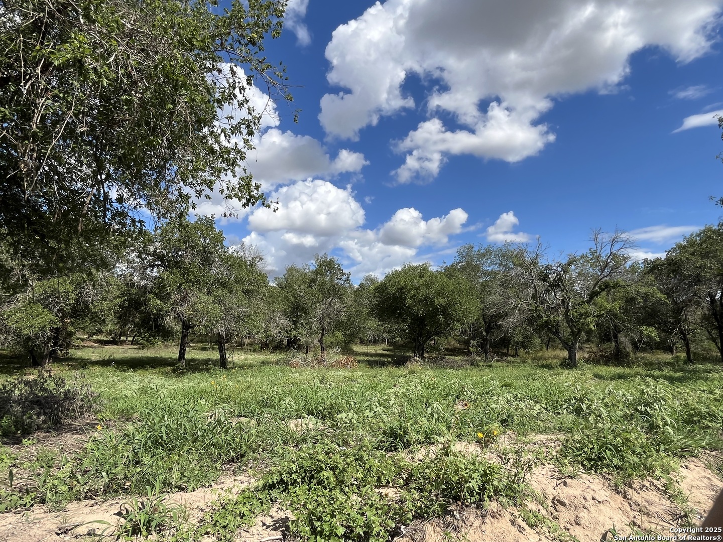 main property photo 19