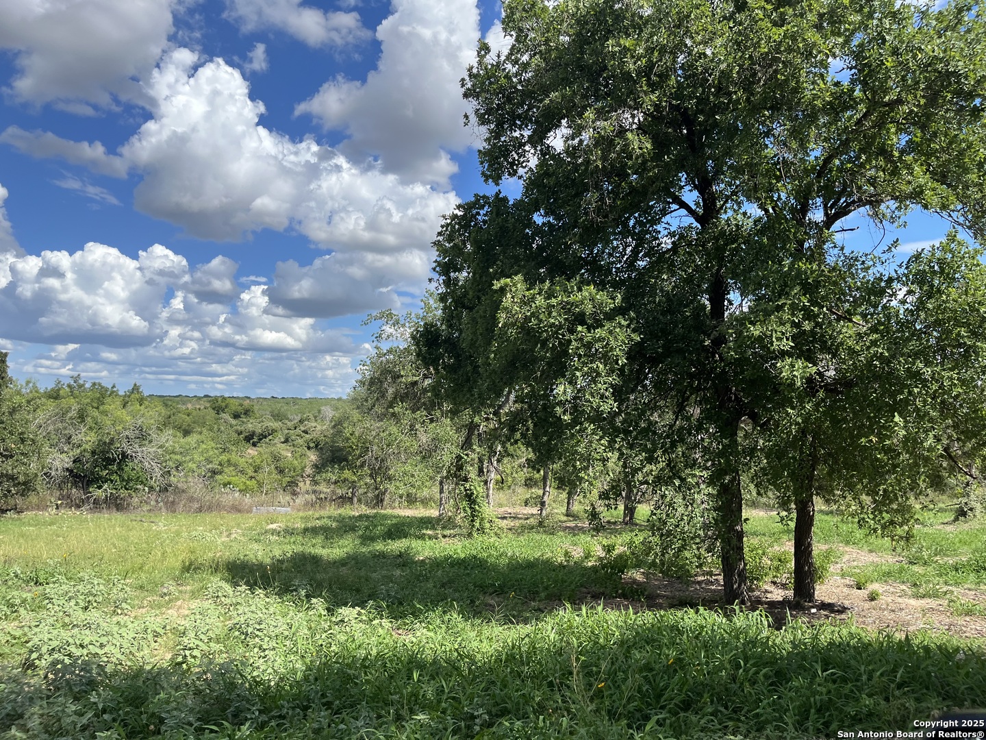 main property photo 6