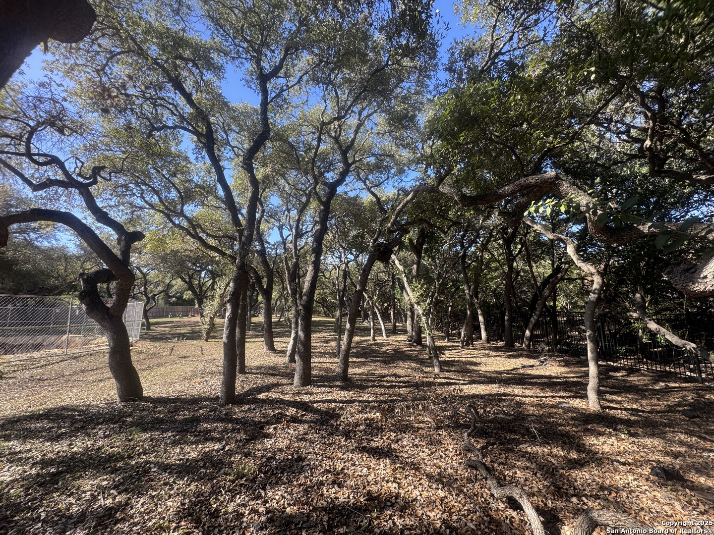 property viewer photo 3