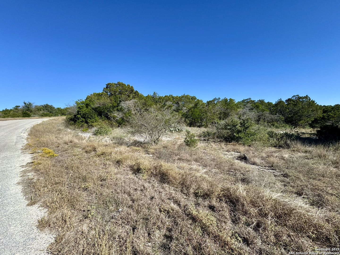 property viewer photo 1