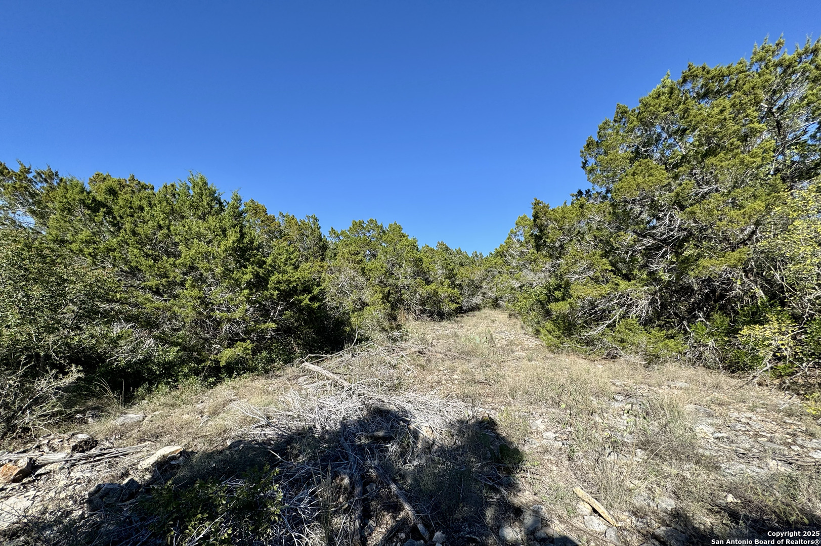 property viewer photo 10