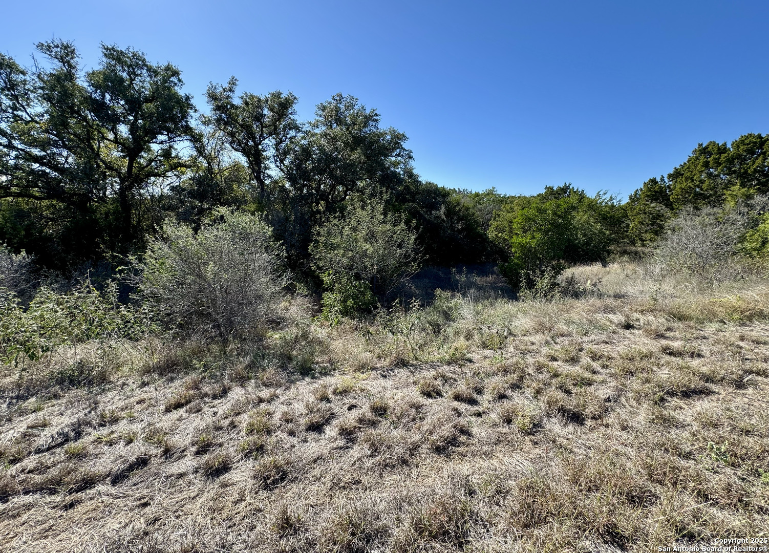 property viewer photo 12