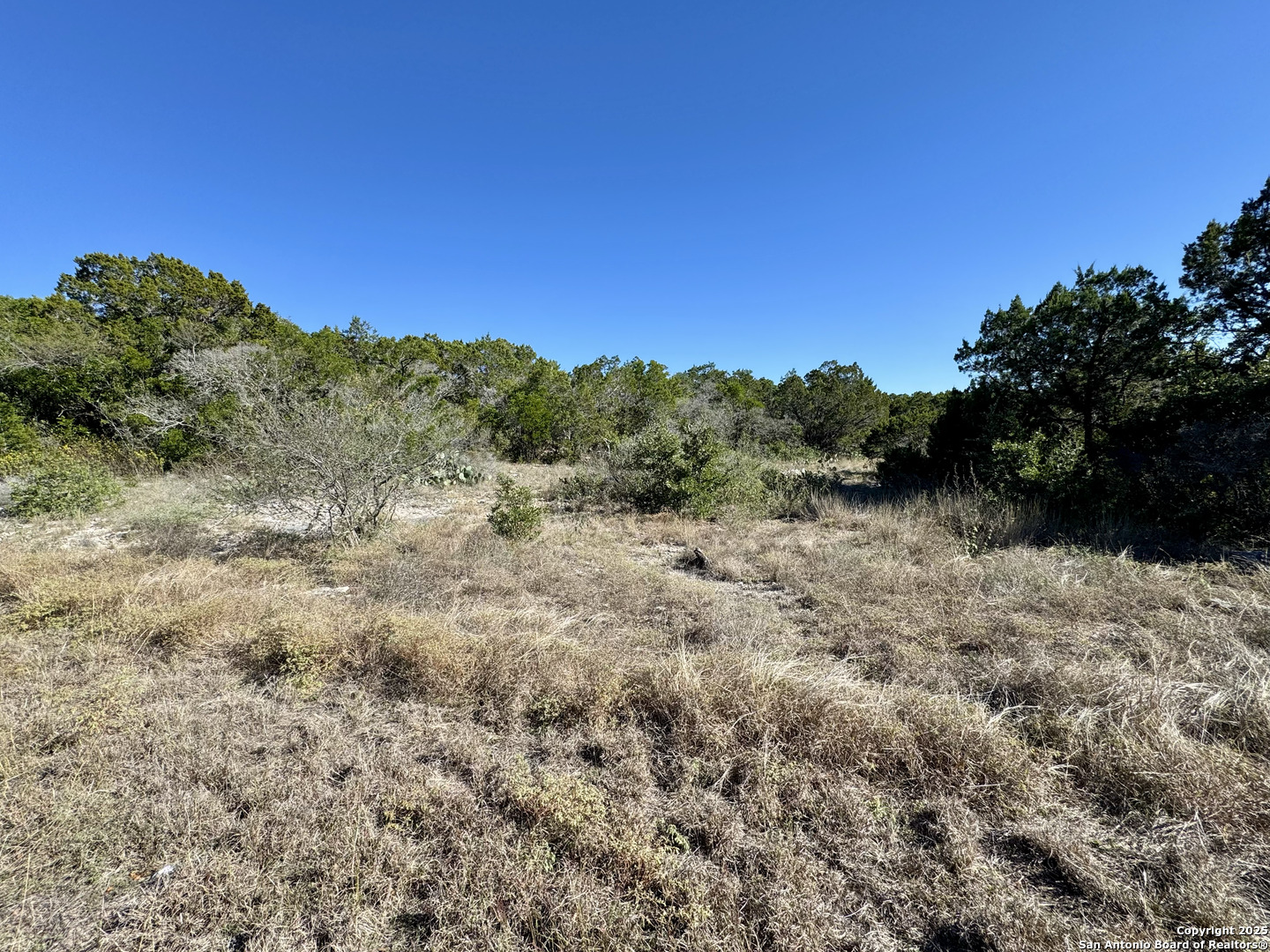 property viewer photo 2