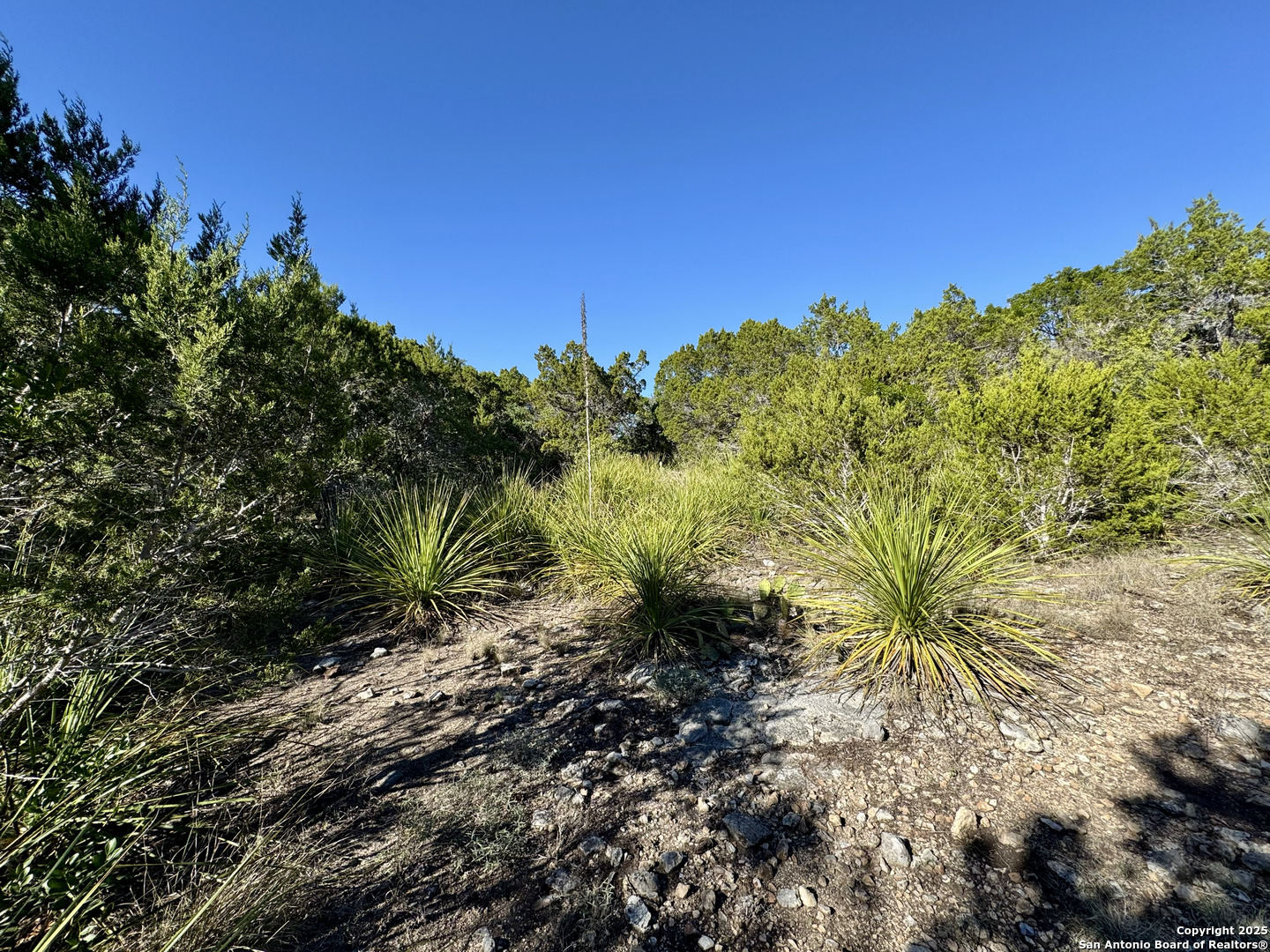 property viewer photo 8