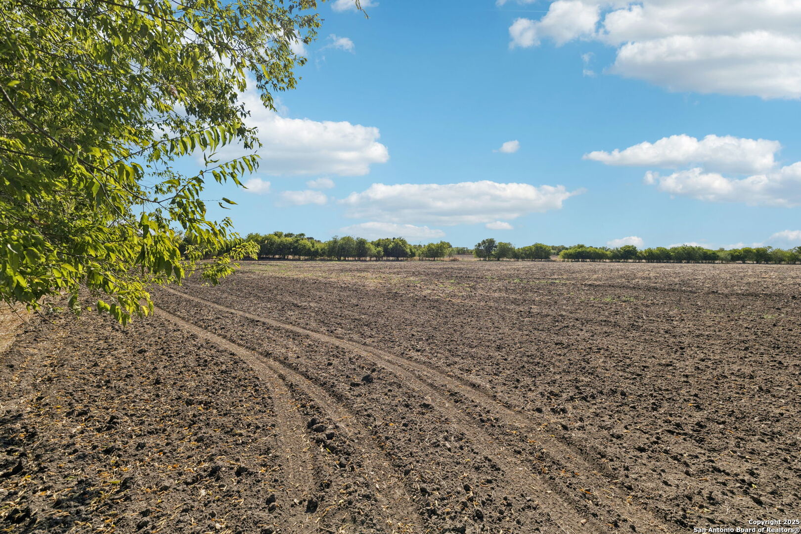 main property photo 13