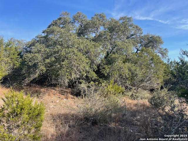 property viewer photo 19