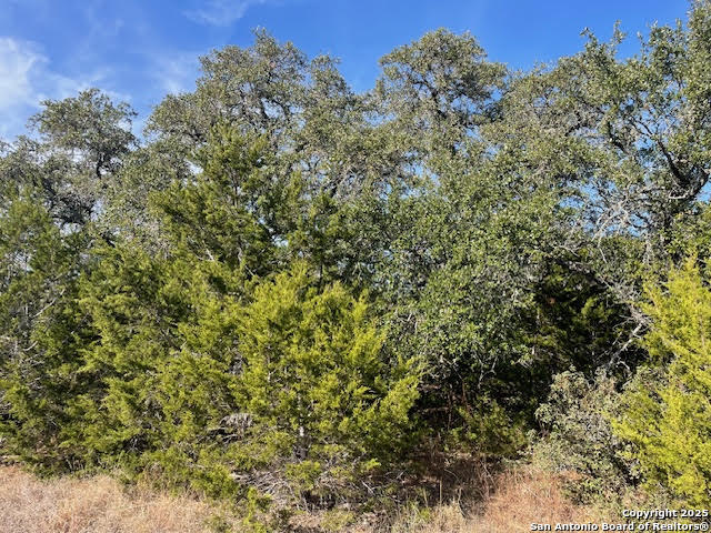 property viewer photo 21