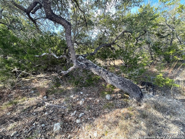 property viewer photo 24