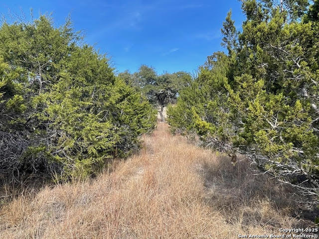 property viewer photo 25