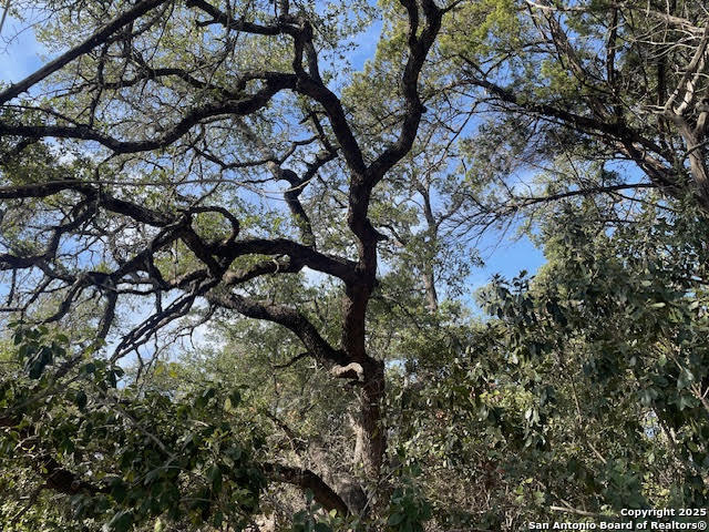 property viewer photo 3