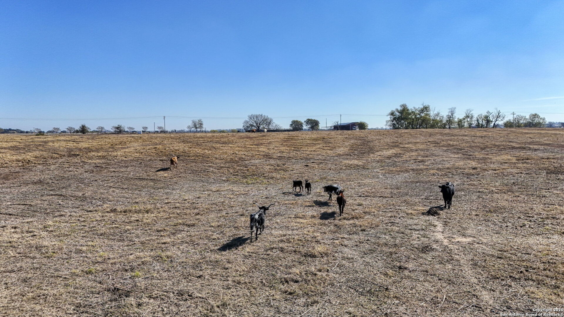 main property photo 78